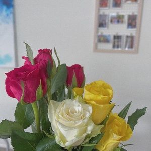 Meet your Posher, Jaynaha